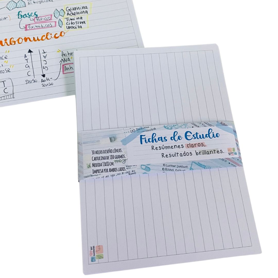 Fichas de Estudio Premium