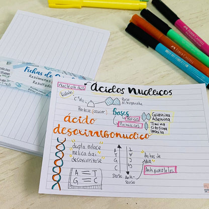Fichas de Estudio Premium